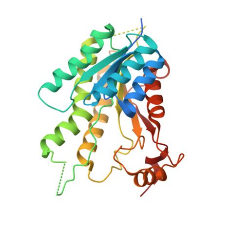 Rcsb Pdb Cm Crystal Structure Of Pteridine Reductase Ptr From