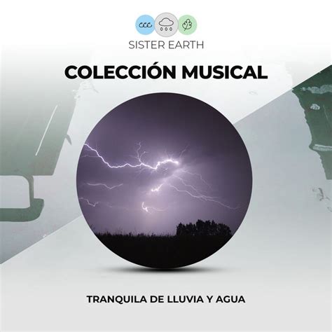 Colección Musical Tranquila de Lluvia y Agua para la Hora de Dormir