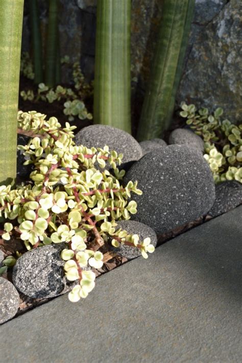 Volcanic Lava Rocks - Landscaping Pebbles - Aussietecture®