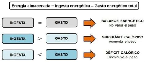 SuperÁvit CalÓrico Todo Lo Que Debes Saber Salud Diez