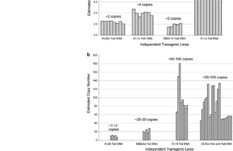 Copy Number Estimates Are Consistent Within Independent Transgenic