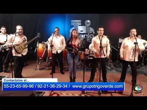 Grupo Trigo Verde En Vivo En La Tv Noviembre 2017 YouTube