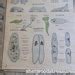 Large Old School Botanical Chart Protozoa Amoeba Weird Etsy