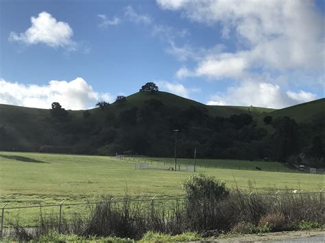 San Benito crop values increase nearly 2 percent | San Benito Live
