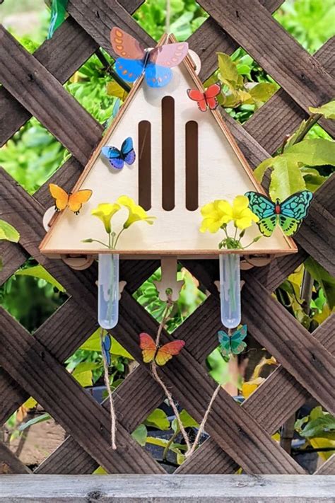 21 Butterfly House Ideas For The Garden • India Gardening