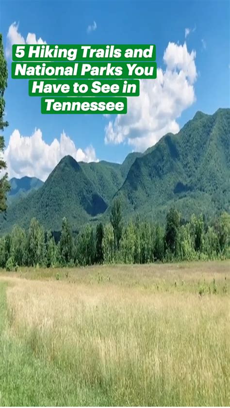 5 hiking trails and national parks you have to see in tennessee hiking guide travel guide – Artofit