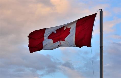 Premium Photo Low Angle View Of Flag Against Sky