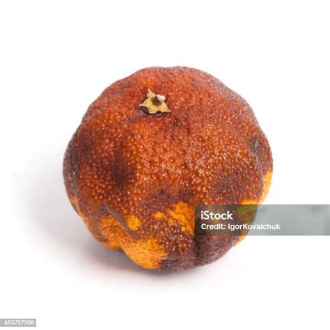 buah jeruk busuk foto stok  gambar  bahan makanan