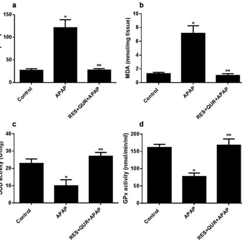 Resveratrol And Quercetin Protect Against Apap Induced Modulation Of