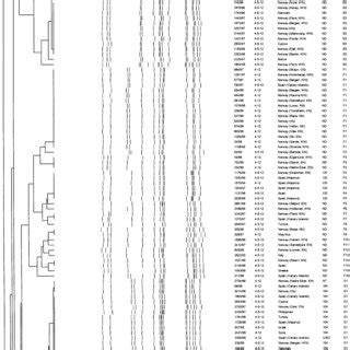 Dendrogram Based On Pfge Xbai Macrorestriction Profiles Mrps Of The