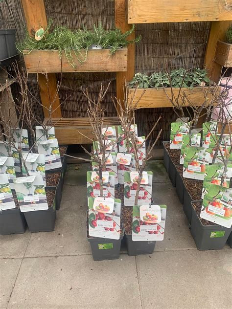 Urban Plant Life added a new photo. - Urban Plant Life