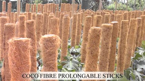 Coir Products