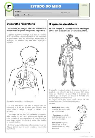 O Corpo Humano PDF