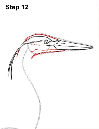 how to draw a heron