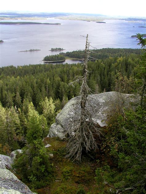 Koli nationalpark Free Photo Download | FreeImages