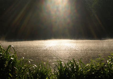 Kolam Permukaan Kabut Foto Gratis Di Pixabay Pixabay