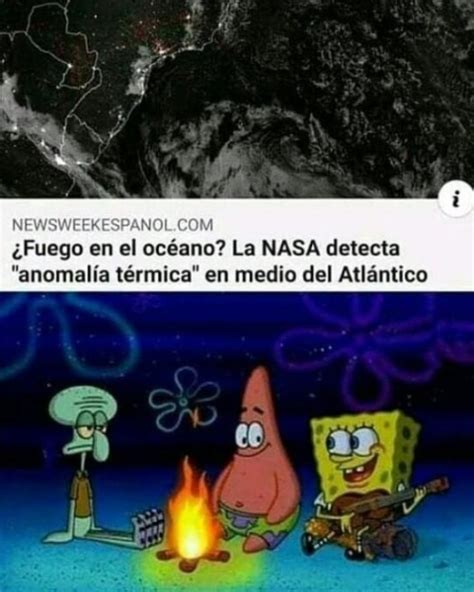 Fondo De Bikini Is Real R Vicio