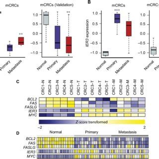 Gene Expression Values Z Score Transformed Of Pdlim Ier And Other