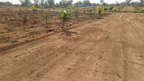 Agricultural Land Sq Yards For Sale In Bommalaramaram Hyderabad