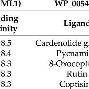 Promising Activate Compounds And Their Binding Affinity Analysis