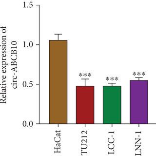 Expression Of Circ Abcb In Laryngeal Carcinoma Tissues And Cell Lines