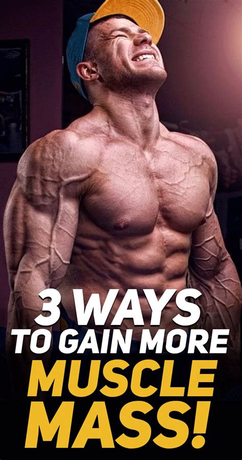 3 Ways To Gain More Muscle Mass - THEBODYBUILDINGBLOG