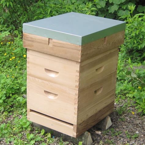 Langstroth Beehive With 6 Flat Roof Langstroth Hive Langstroth Beehive