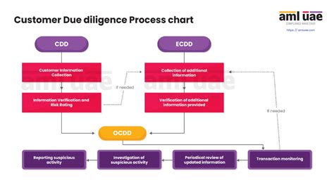 Customer Due Diligence Process Chart