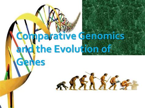 Comparative Genomics Presentation