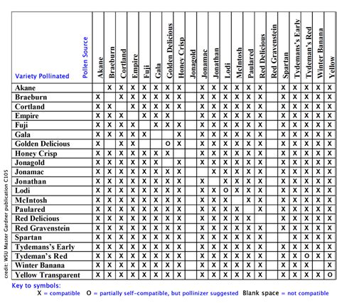 Winterberry Pollination Chart