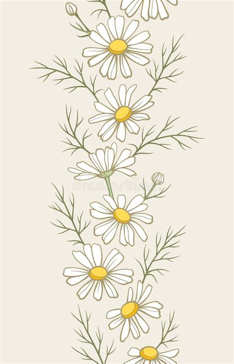 Chamomile Flower Line Art Drawing Daisy Wild Flowers And Leaves