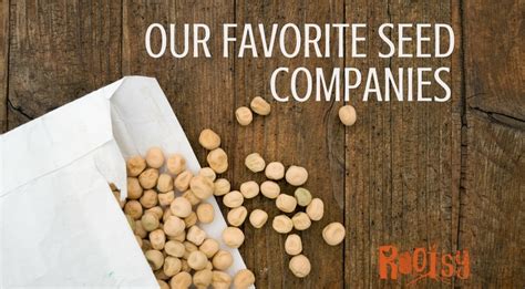 Our Favorite Seed Companies for Non-GMO Seeds - Rootsy Network