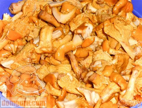 Как замариновать грибы лисички - кулинарный рецепт.