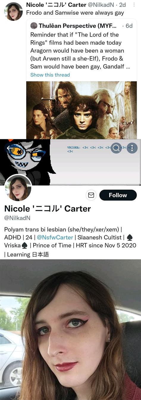 Frodo And Samwise Were Always Gay Nicole Carter NilkadN Thulan Perspective MVE Reminder
