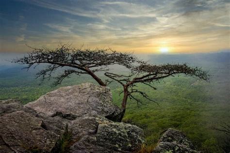 Talladega National Forest Camping Guide - Beyond The Tent