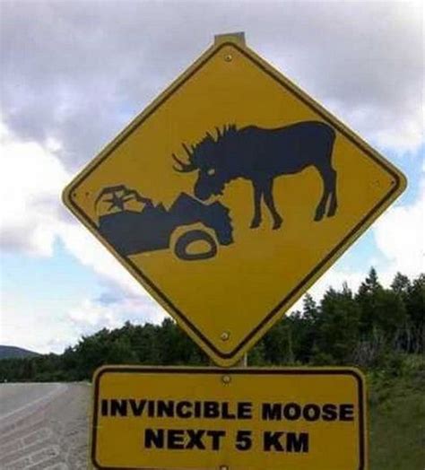 12 Hilarious Road Sign Fails With Images Funny Road Signs Car Jokes