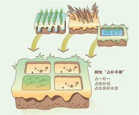 什么是占用耕地补偿制度？永久基本农田被占用后应该怎样补划？如何申请农村宅基地漫解来了财经头条