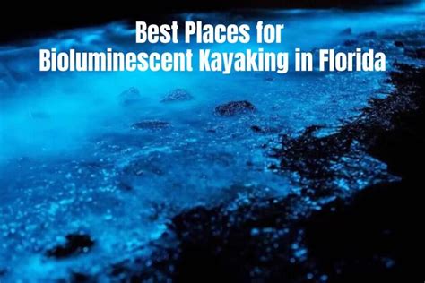 Best Places For Bioluminescent Kayaking In Florida Authentic