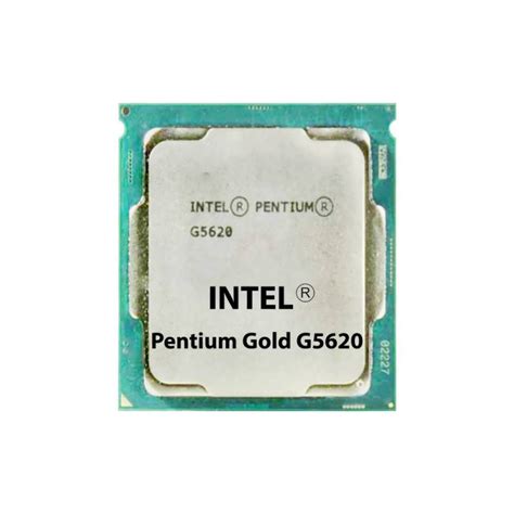 پردازنده مرکزی اینتل بدون باکس مدل Intel Pentium Gold G5620 فروشگاه اینترنتی دیجیتال شاپ