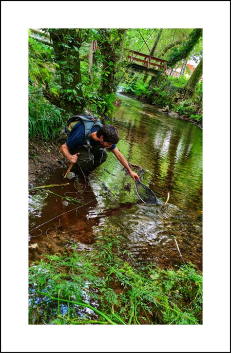 Escuela De Pesca A Mosca Curso Pesca A Mosca Ninfa Escuela De Alonso