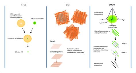 An overview of super-resolution microscopy techniques. The STED ...