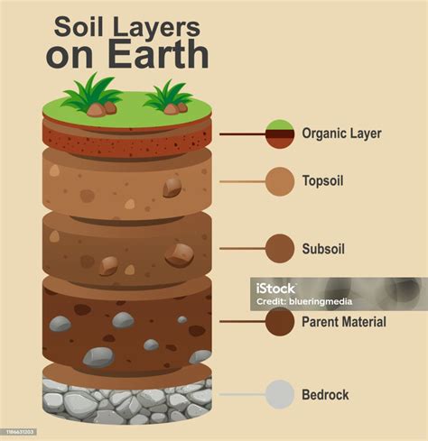 Ilustración De Capas De La Tierra Sobre Fondo Blanco Y Más Vectores Libres De Derechos De