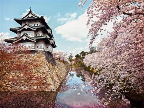 Hirosaki Castle in Aomori is best visited in the spring when surrounded by pink blossom petals