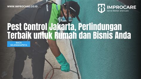 Pest Control Jakarta Perlindungan Terbaik Untuk Rumah Dan Bisnis Anda