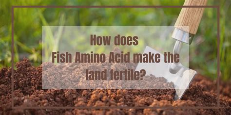 Fish Amino Acid Benefits For Plants Uyir Organic Farmers Market