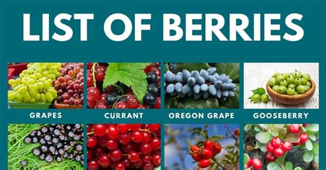 Types Of Berries List Of 49 Berries With Yummy Pictures • 7esl