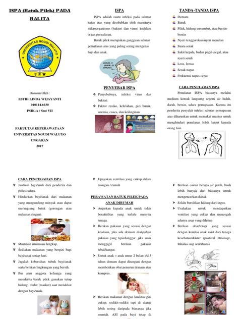 Leaflet Ispa Pdf