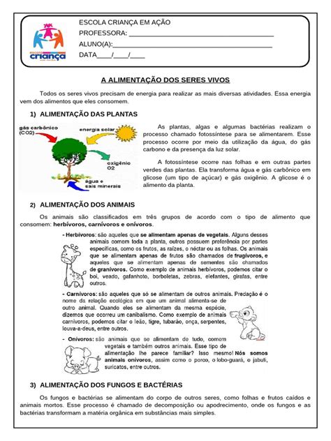 Alimentação Dos Seres Vivos - Alimentação dos Seres Vivos | PDF