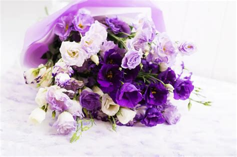 Por Qué Se Regalan Flores Moradas El 9 De Noviembre Según Tiktok Tus