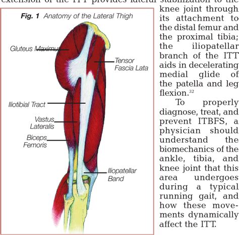 Iliotibial Band Syndrome Hip Pain